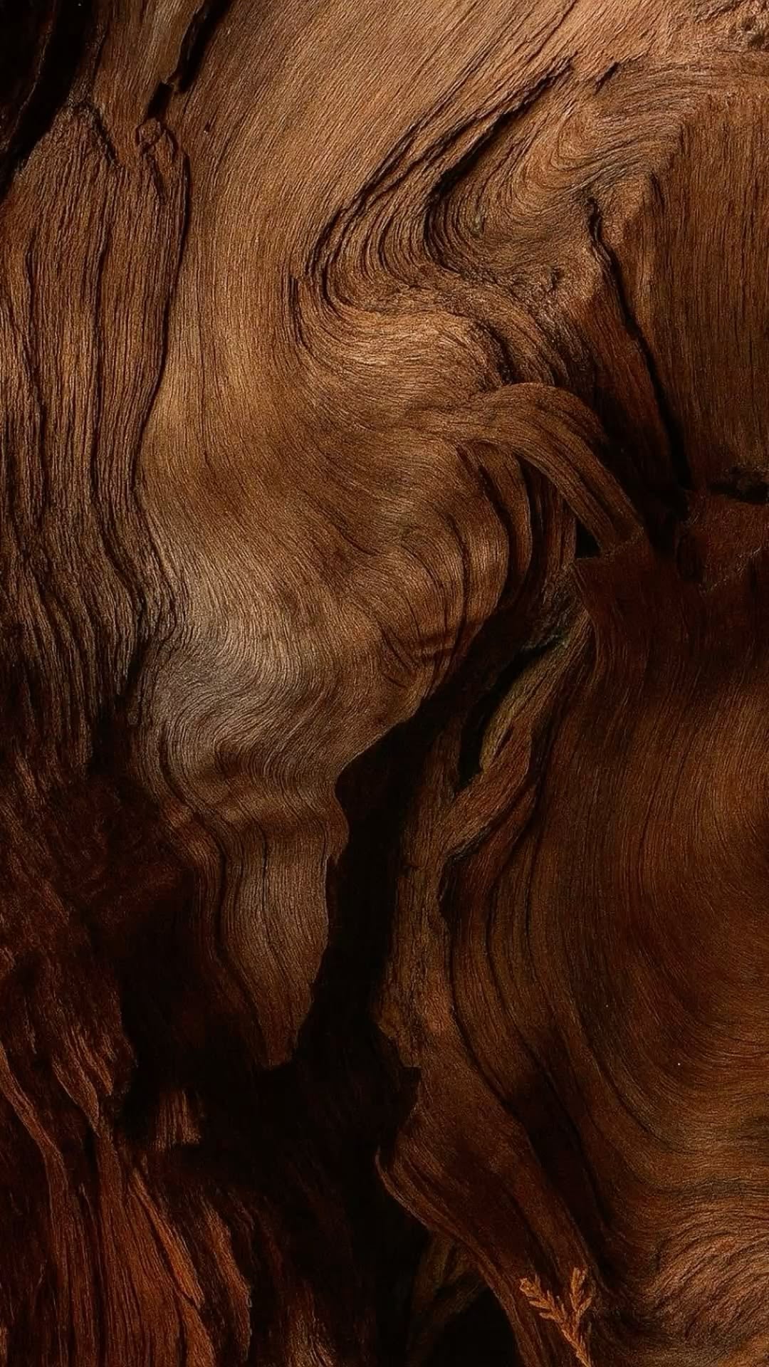 Les Boisés