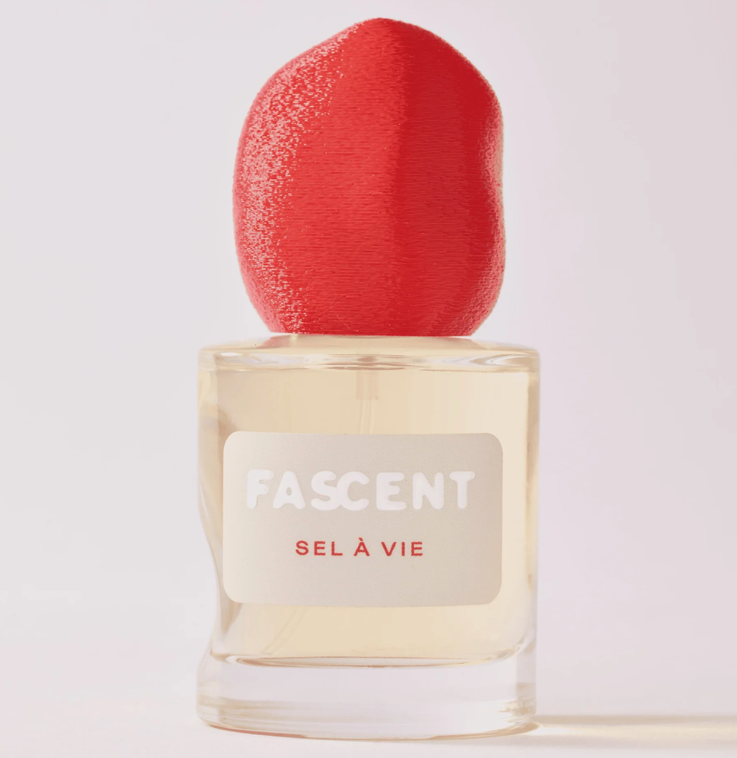 FASCENT Sel à Vie