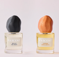 CREME BRULANTE & MILKY NO WAY
