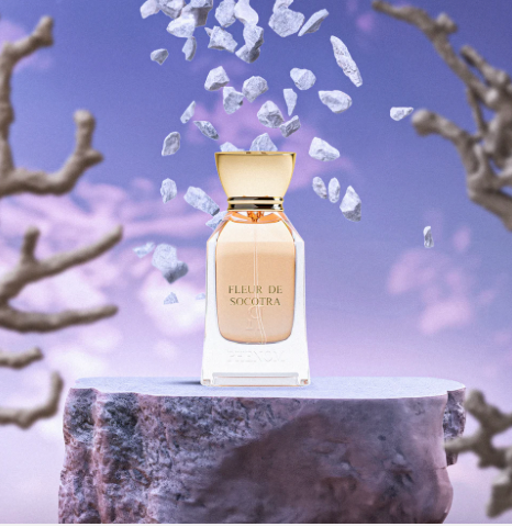 PHENOM Fleur de Socotra