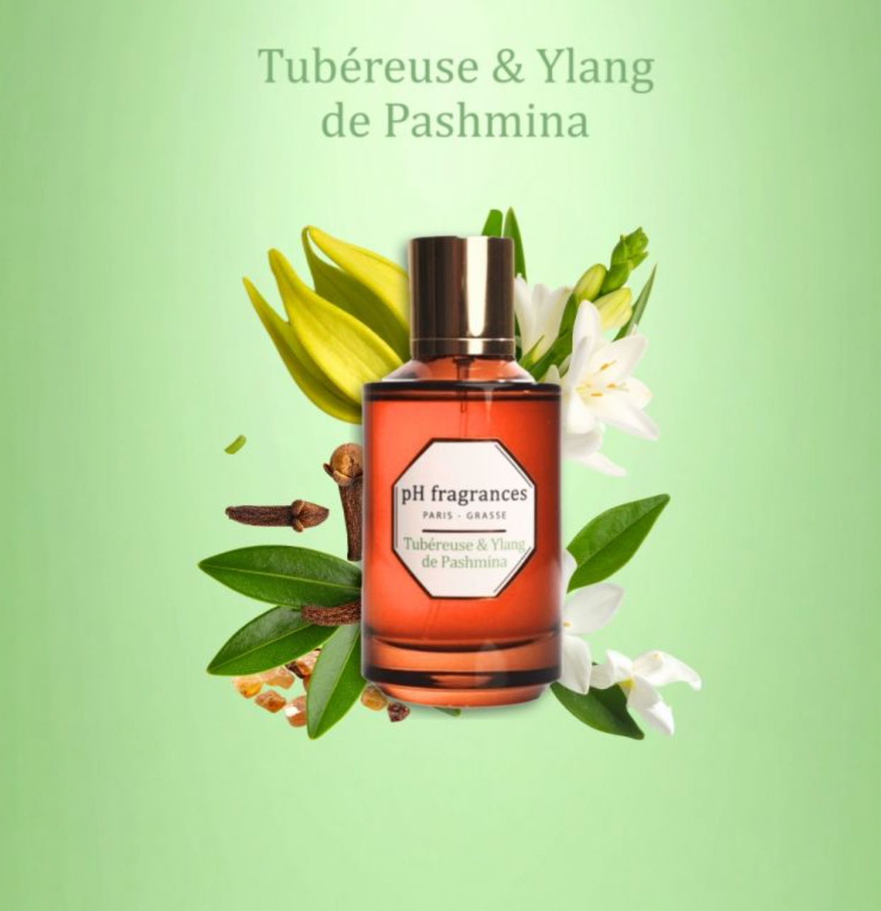PH fragrance - Parfum Tubéreuse & Ylang de Pashmina