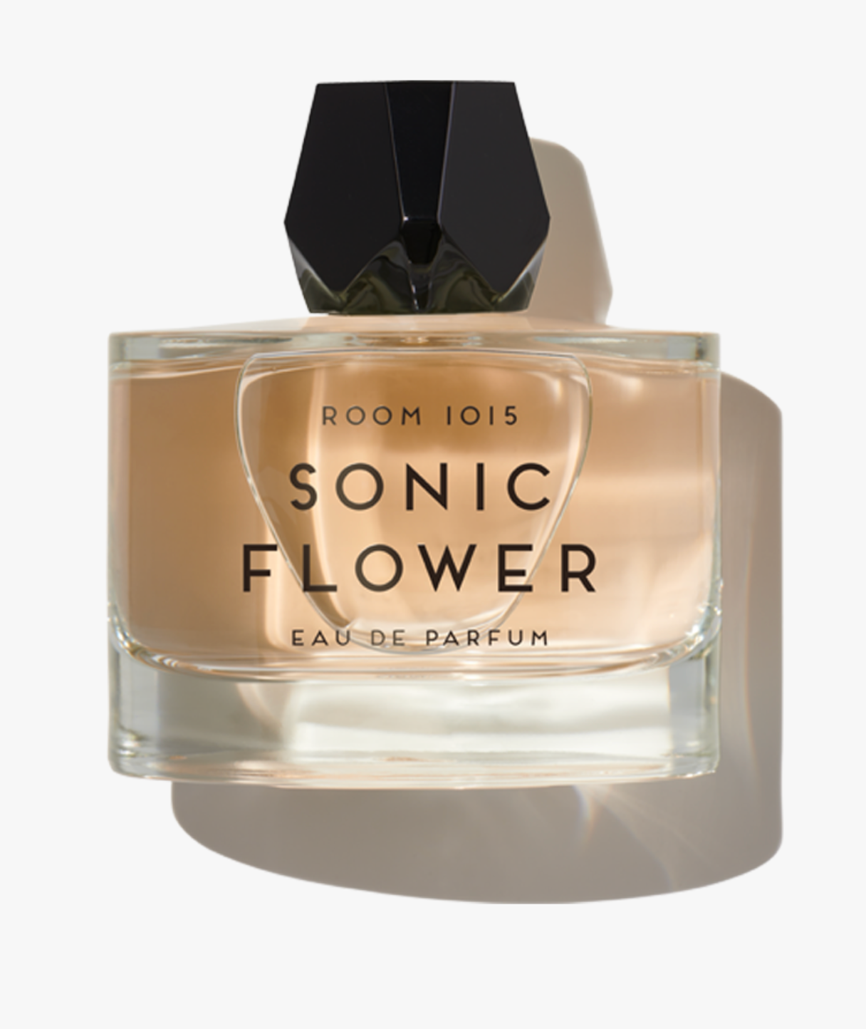 ROOM 1015 Sonic Flower