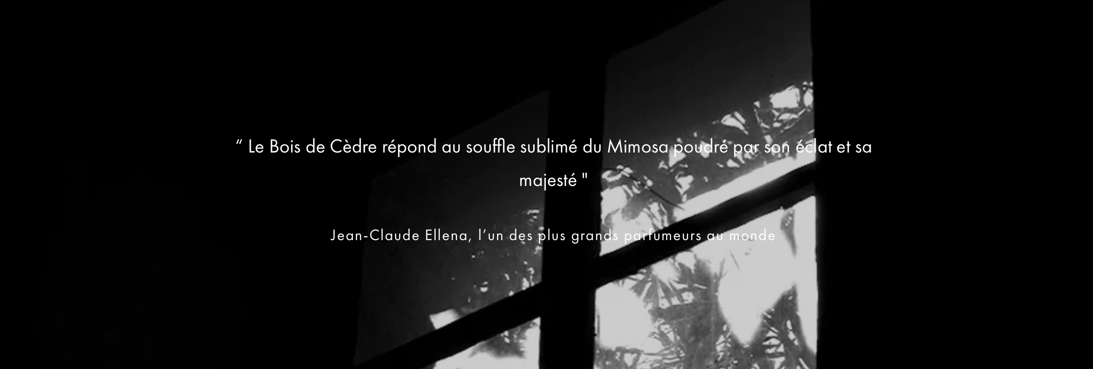 MIMOSA - Le Couvent