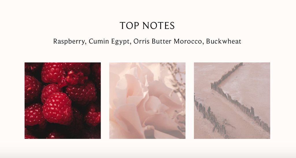 GOLDFIELD & BANKS Rose Magnitude