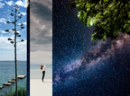 19.1 NEROLI AD ASTRA - Pierre Guillaume