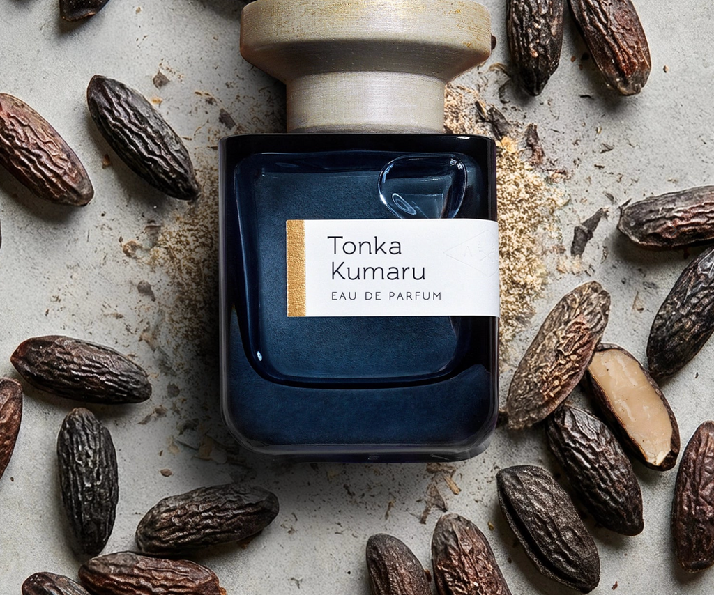 Atelier Materi Tonka Kumaru