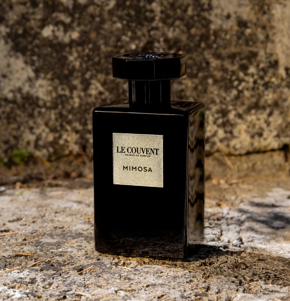 MIMOSA - Le Couvent