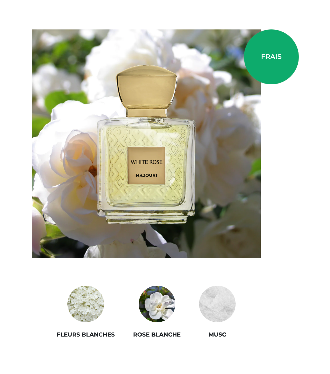 MAJOURI White Rose