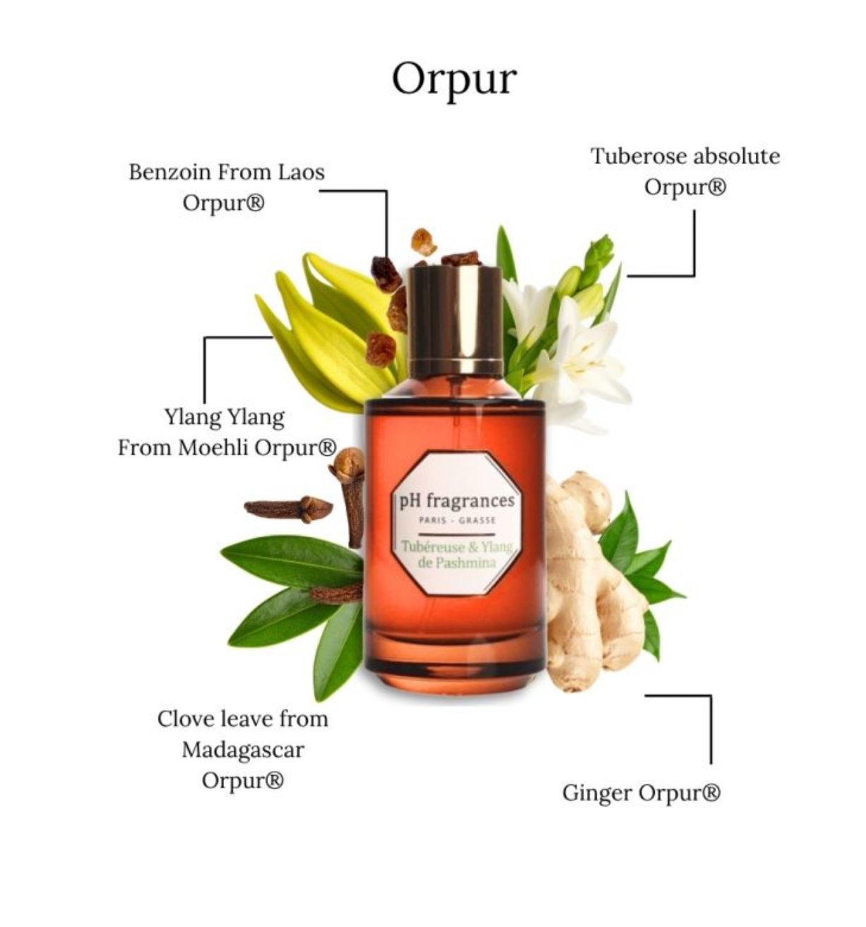 PH fragrance - Parfum Tubéreuse & Ylang de Pashmina