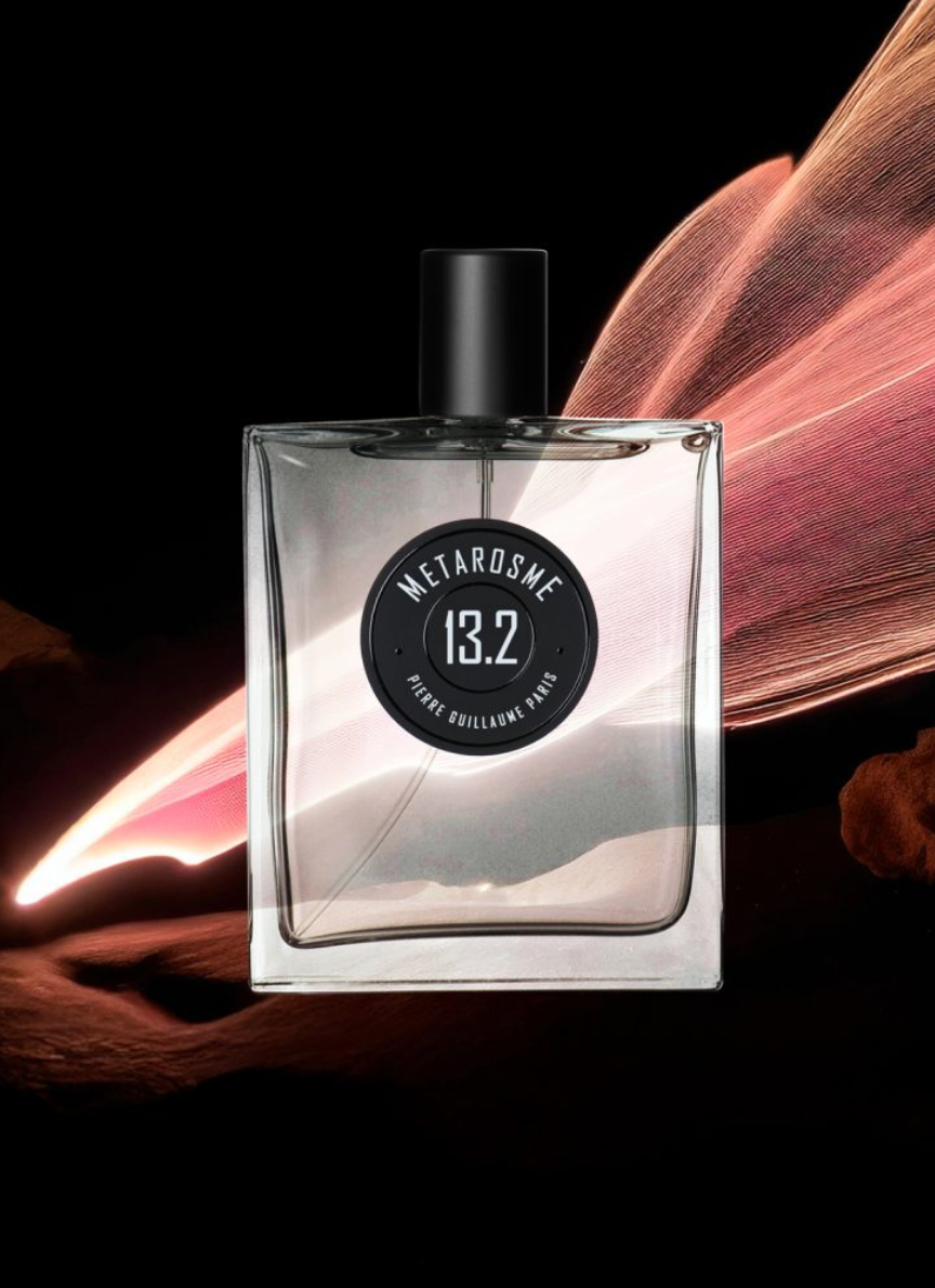 13.2 METAROSME - Pierre Guillaume