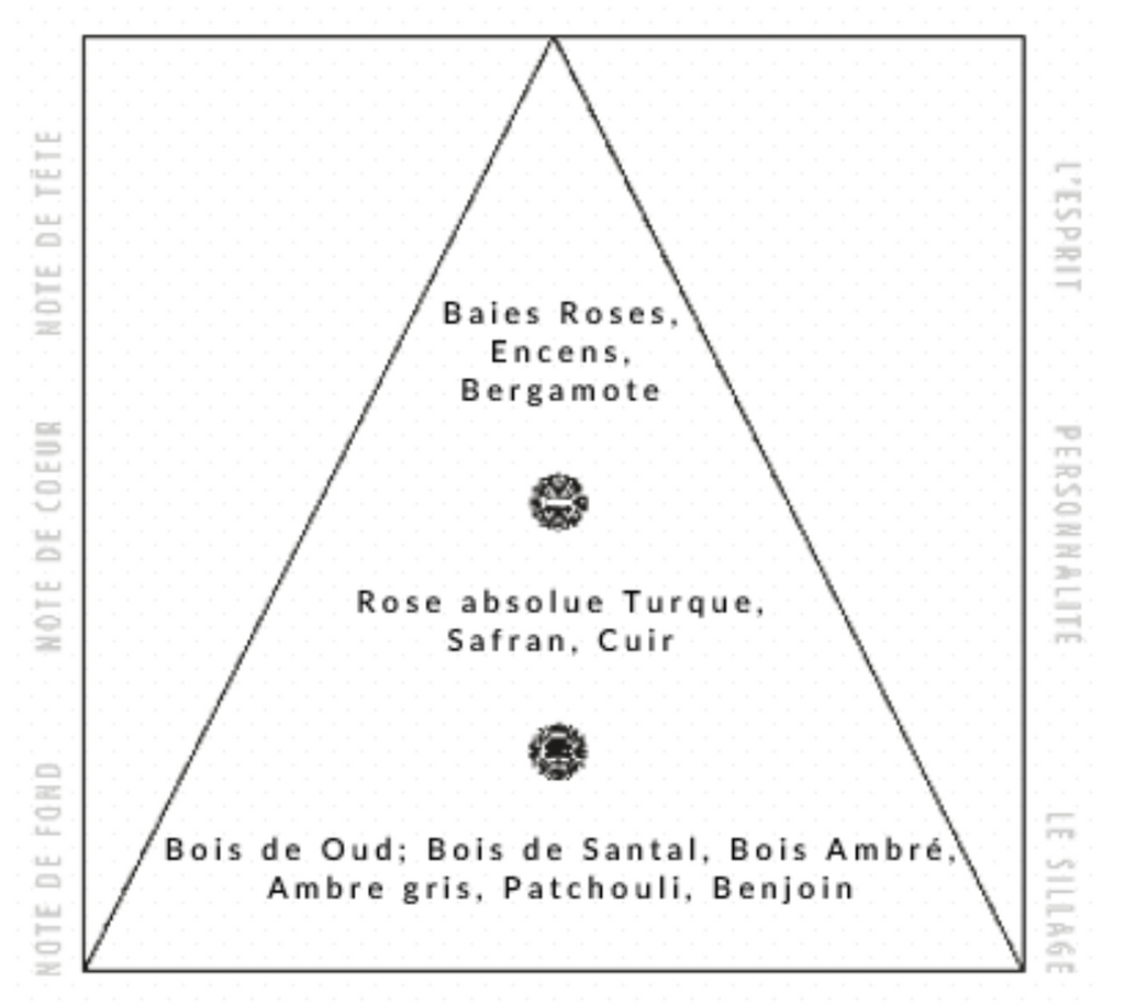 NYSOS Le Oud