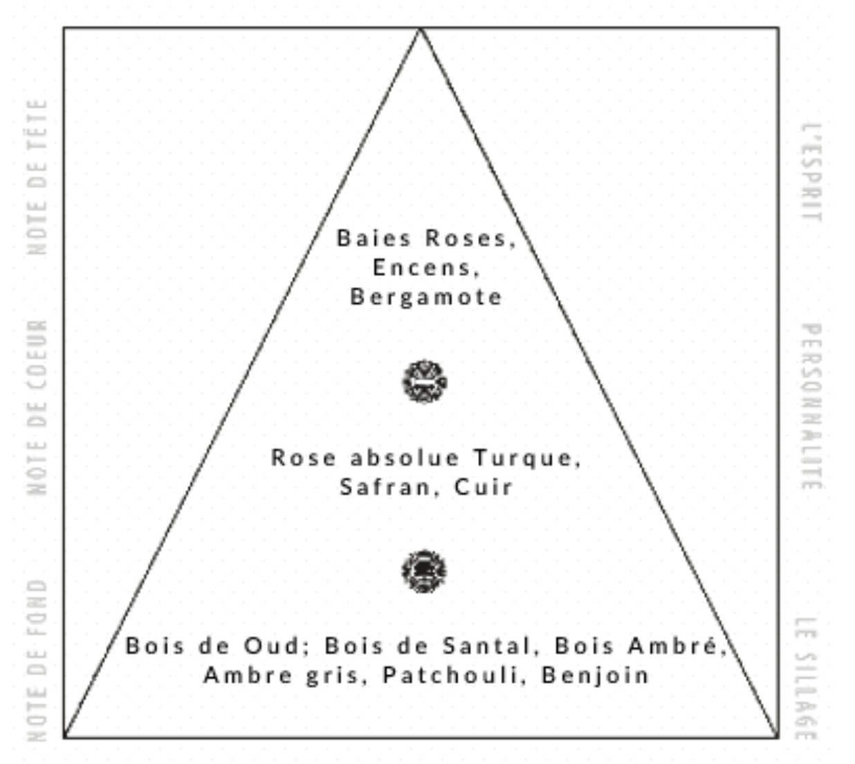 NYSOS Le Oud