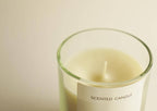 SEVENREEDS -  Mint Tea & Basil